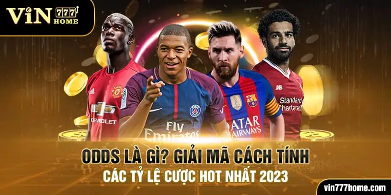 odds là gì vin777