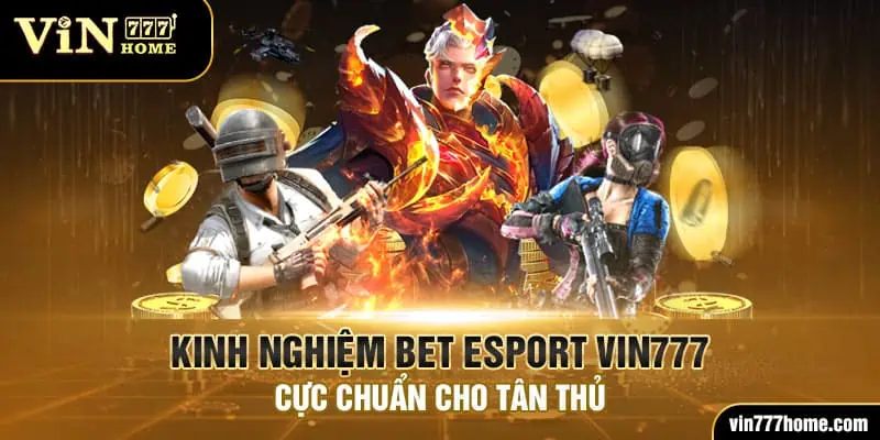 kinh nghiệm bet esport vin777