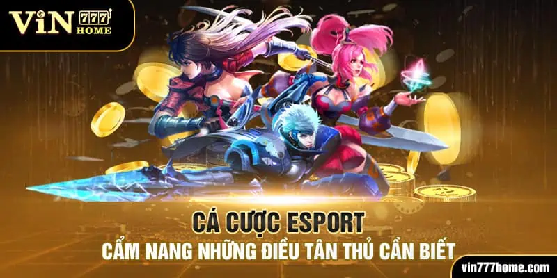 cá cược esport vin777