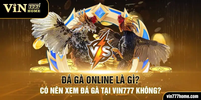 đá gà online vin777