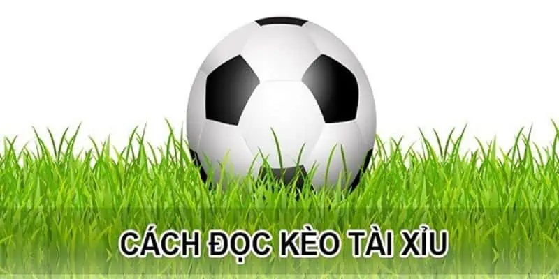 Hướng dẫn từ A - Z cách đọc kèo Tài Xỉu dễ hiểu