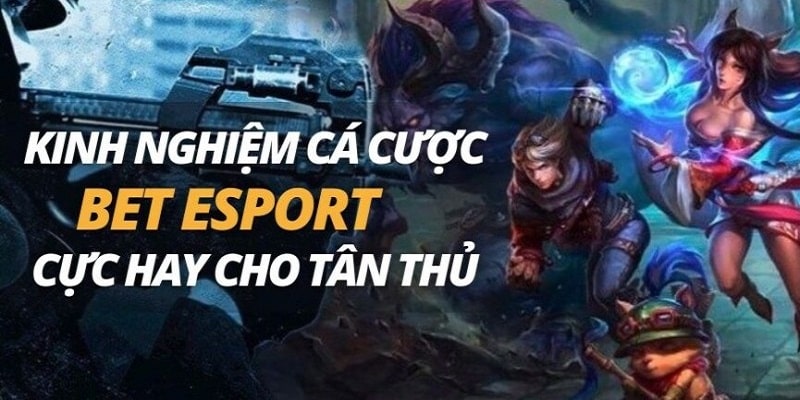 Một số kinh nghiệm Bet Esport hay cho tân thủ