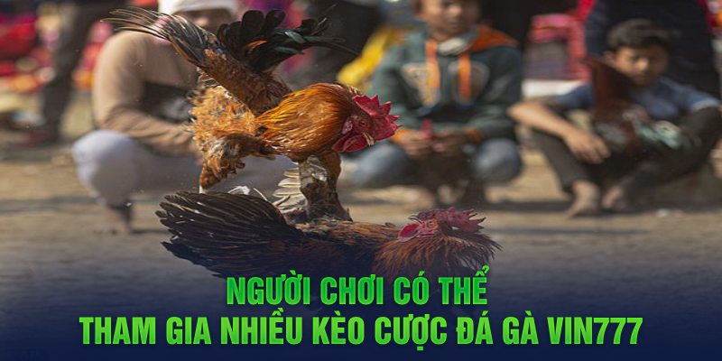 Người chơi có thể tham gia nhiều kèo cược đá gà Vin777