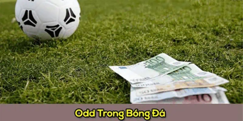 Lý giải Odds là gì trong cá cược đá bóng