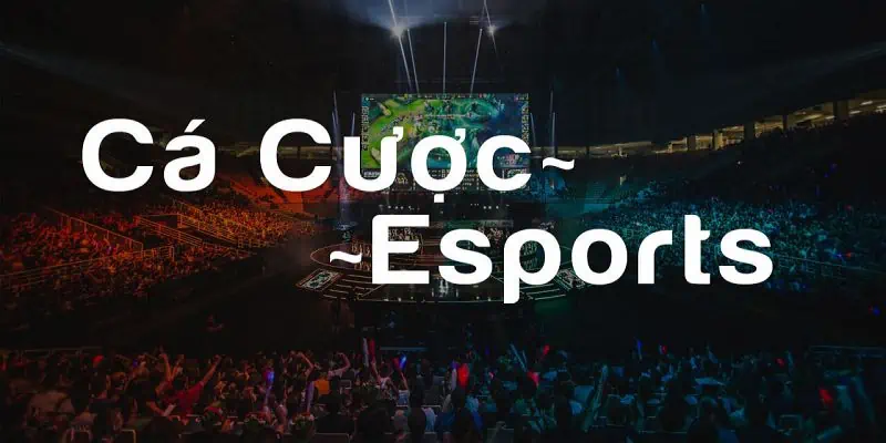 Các kiểu bet esport mà VIN777 cung cấp