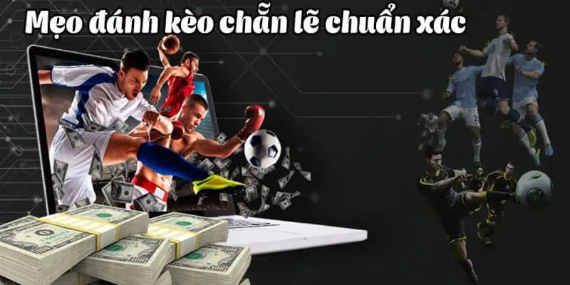 Kinh nghiệm đánh Even/Odd toàn thắng của cao thủ