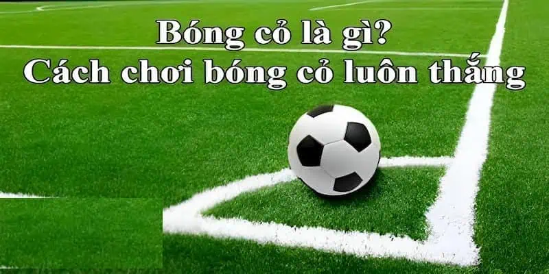 kèo bóng cỏ