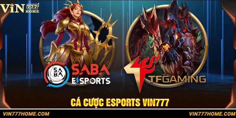 Cá cược Esport hấp dẫn, kiếm tiền khủng